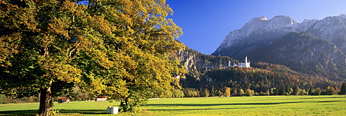 Schloss Neuschwanstein castle in autumn, at Fuessen, Ostallgaeu district, Bavaria, Germany, Europe