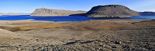 Arctic tundra at Maxwell Bay, Devon Island, Northwest Passage, Nunavut, Canada, Arctic