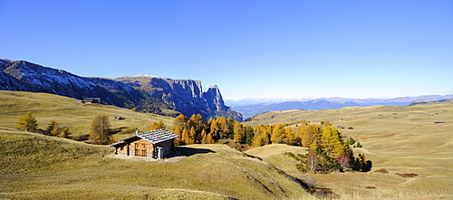 Seiser Alm mountain pasture with Mt. Sciliar in autumn, Dolomites, South Tyrol, Italy, Europe