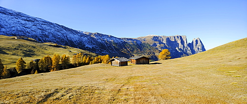 Seiser Alm mountain pasture with Mt. Sciliar in autumn, Dolomites, South Tyrol, Italy, Europe