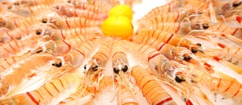 Fresh Australian Scampi, Sydney Fish Market, Sydney, New South Wales, Australia