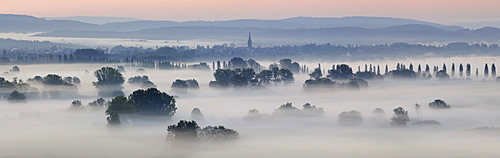 Morning mist in Radolfzeller Aachried, county of Constance, Baden-Wuerttemberg, Germany, Europe