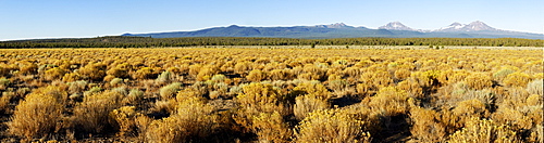 Panorama, High Desert landscape, view of the Three Sisters volcano, Cascade Range, Oregon, USA