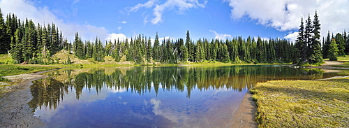 Reflection in Shadow Lake, Trial at the Sunrise Visitor Center, Mount Rainier National Park, Washington, USA, North America