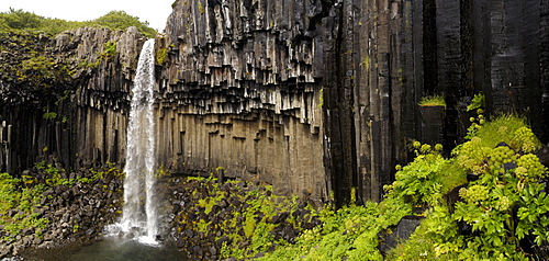 Basalt columns waterfall Svartifoss Skaftafell National Park Iceland