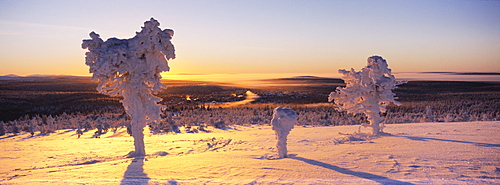 Winter landscape, Lappland