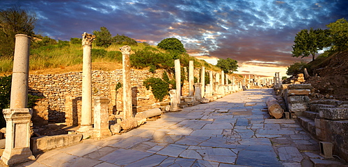 Curetes Street, Priest Street, centre of Ephesus archaeological site, Anatolia, Turkey