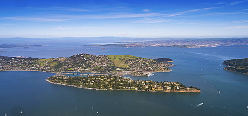 Aerial view, Belvedere Tiburon peninsula, San Francisco Bay Area, California, USA, North America