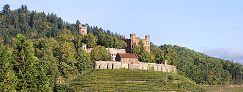 Burg Ortenberg Castle youth hostel, Ortenberg near Offenburg, Baden-Wuerttemberg, Germany, Europe