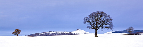 Winter trees and snow covered fields with Roseberry Topping in the distance, North Yorkshire, Yorkshire, England, United Kingdom, Europe