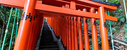 Torii gates at Hie Shrine in Chiyoda, Tokyo, Japan.