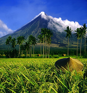 Ricefarmer and Mayon Volcano near Legazpi City, Legazpi, Luzon Island, Philippines