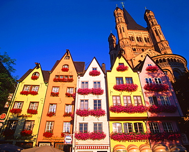 Cologne, Gross St, Martin, fishing market, colorful facas