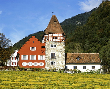 Europe, Liechtenstein, Vaduz, Red house, vineyards