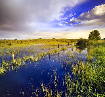 Pastureland after Rain storm, near Cochrane, Alberta, Canada