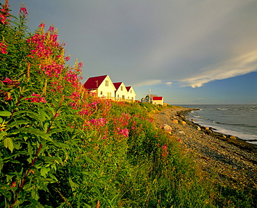 Cottages on St Lawrence River, Petit Vallee, Gaspesie, Quebec