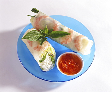 Studio shot of Vietnamese spring rolls with sauce on a blue plate.