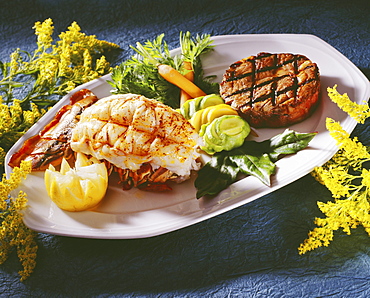 Studio shot of a delicious looking lobster  and steak platter.