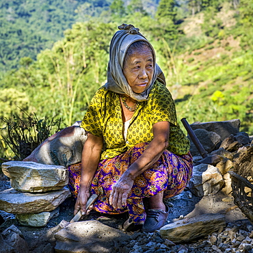 A senior woman crouches and digs in the dirt with a trowel, West Bengal, India