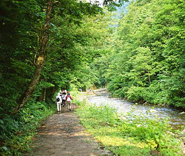 Shirakami-Sanchi, Aomori, Japan