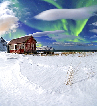 Northern Lights (aurora borealis) over an abandoned log cabin surrounded by snow, Flakstad, Lofoten Islands, Arctic, Norway, Scandinavia, Europe