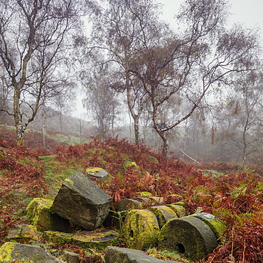 Millstones covered in moss lie derelict within the former Bole hill quarry on a misty autumn morning in the Peak District, Derbyshire, England, United Kingdom, Europe