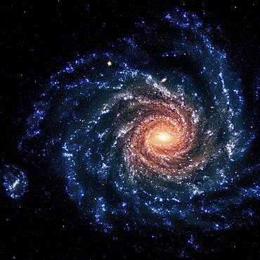 NGC 1232, Spiral Galaxy, Optical