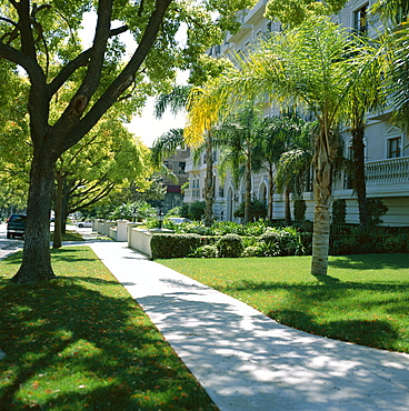 Trees and grass along sidewalk, Beverly Hills, Los Angeles, California, United States of America (USA), North America