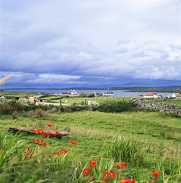 Landscape near Ardara, County Donegal, Ulster, Eire (Republic of Ireland), Europe