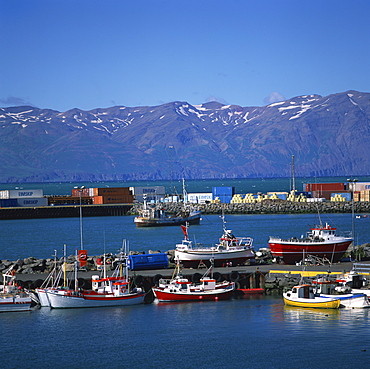 Fishing boats in harbour, Husavik, North Iceland, Polar Regions