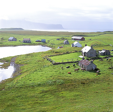 Crofts, Isle of Canna, Inner Hebrides, Scotland, United Kingdom, Europe