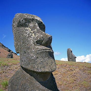 Moai statues carved from crater walls, on the southern slopes of Volcan Rano Raraku, the birthplace of the moai, Easter Island (Rapa Nui), UNESCO World Heritage Site, Chile, South America