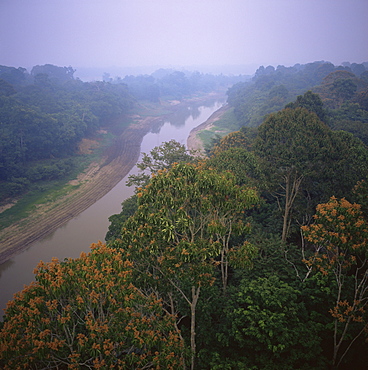 Morning mists in Rio Negro region of Amazon rainforest, Amazonas State, Brazil, South America