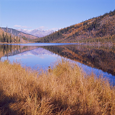 McKinley Park, Alaska, USA, North America