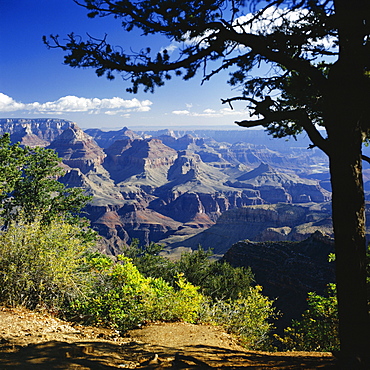 View over the Grand Canyon, UNESCO World Heritage Site, Arizona, United States of America (USA), North America