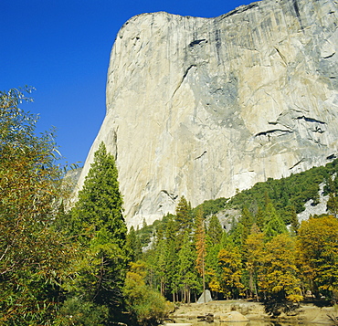 El Capitan, Yosemite National Park, California, USA, North America