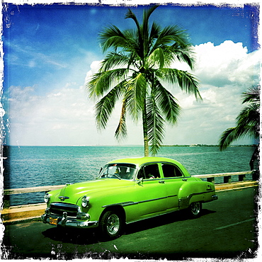 Bright green classic American car parked by a palm tree with the ocean behind, Punta Gorda, Cienfuegos, Cuba, West Indies, Caribbean, Central America