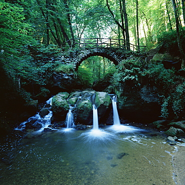 Schiessentumpel in the Mullerthal, Luxembourg, Europe