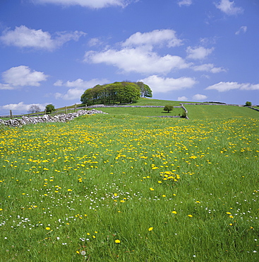 Alstonfield, Peak District National Park, Derbyshire, England, United Kingdom, Europe