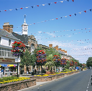 Town Hall and town in Britain in Bloom competition, Minehead, Somerset, England, United Kingdom, Europe