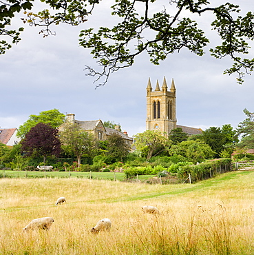 Rural field with views to St. Michaels Church in the Cotswolds village of Broadway, Worcestershire, England, United Kingdom, Europe 