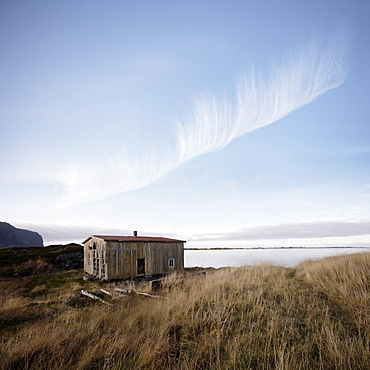 Derelict barn on coast, Lofoten Islands, Norway, Scandinavia, Europe