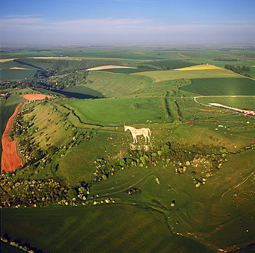 Aerial view of the Westbury White Horse and the Iron Age Bratton Camp Hill Fort, Wiltshire, England, United Kingdom, Europe