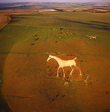 Aerial view of Alton Barnes White Horse, Alton Barnes, Wiltshire, England, United Kingdom, Europe