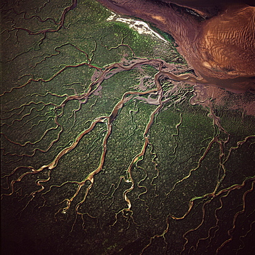 Aerial image of salt marsh at Tibby Head, Blakeney Point, Norfolk, England, United Kingdom, Europe