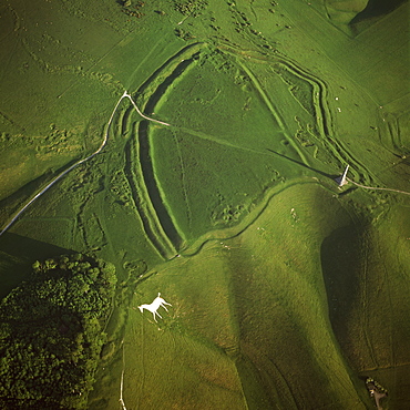 Aerial image of Oldbury Camp Hill Fort with Cherhill White Horse, Cherhill Down, Calne, Wiltshire, England, United Kingdom, Europe