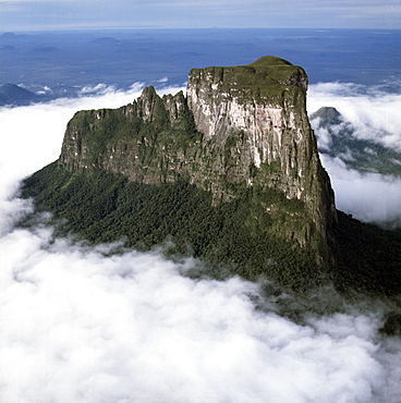 Aerial image of tepuis showing Mount Autana (Cerro Autana), Amazonas territory, Venezuela, South America