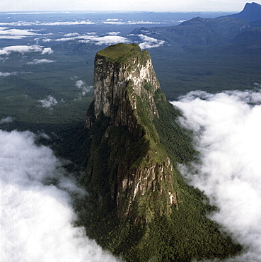 Aerial image of tepuis showing Mount Autana (Cerro Autana), Amazonas territory, Venezuela, South America