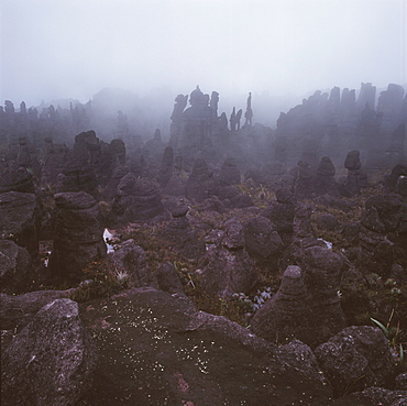 Rocks in the mist on the summit of Mount Kukenaam (Kukenan) (Cuguenan), Estado Bolivar, Venezuela, South America