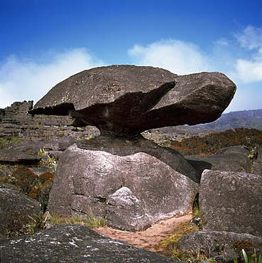 Turtle Rock, Mount Roraima summit, Estado Bolivar, Venezuela, South America